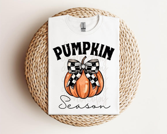 Pumpkin Season Tee / Sweatshirt